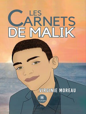cover image of Les carnets de Malik